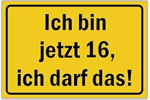 Ich bin jetzt 16, ich darf das - Sign 30 x 20 cm - Birthday Decoration Party Decoration Birthday Card Gift Idea - 16th Birthday 16th Birthday Boy & Girl Gift 16 Years - BerpaHome