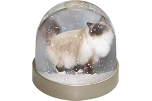 Gorgeous Birman Cat Photo Snow Globe Waterball - Advanta Group®