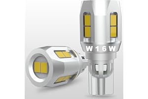 OUSHI Weiß 12V Glühbirne,2pcs