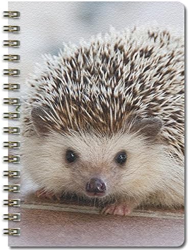 Ivy Mill Designs A5 Wiro Bound Notebook - Baby Hedgehog