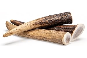 Dilecti Asta de Ciervo para Perros - Asta de Ciervo para Perros Elaborada con Asta de Ciervo Roja Natural y Cuidadosamente Seleccionada, Rica en Proteínas y Minerales. - Enteras S (Paquete de 3)