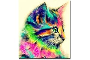 HANSHUIHONG Impression sur Toile Coloré Chat Animal Affiche Imprimer Toile Peintures pour Enfant Salon Mur Art Photos -40x50cm No Frame