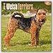 Welsh Terriers 2016 - Welsh Terrier - 18-Monatskalender mit freier DogDays-App: Original BrownTrout-Kalender [Mehrsprachig] [Kalender] (Wall-Kalender) by 