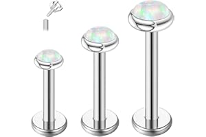 ESHIONER G23 Titanio Piercing Tragus Oreja Helix Labio Labret Inferior Nariz Stud Cartílago Helix Monroe Hipoalergénico Plata Oro Flatback Mujer Hombre 16g 6mm 8mm 10mm