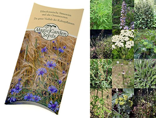 Saatgut Set: 'Wichtige Heilpflanzen der Frauenheilkunde', 6 Heilkräutersorten als Samen zur Anzucht für den Garten in schöner Geschenkverpackung