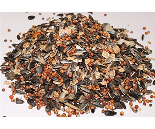 Meisenfutter 10 kg Anhaltiner Premiumfutter