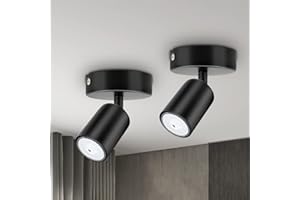 Dehobo Faretti da Soffitto Orientabilie GU10, Faretti da Parete Interno Nero, Lampadario LED Moderna da Soffitto per Corridoio Entrata o Scale, Lampadina GU10 non Inclusa, 2 Pezzi