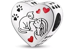 IDELUSH Charms Abalorios de Plata de Ley 925 para Pulsera o Collar Europeo, Compatible con Pandora, Colgante de Joyería con Circonita Cúbica, Regalo para Mujer, Niña, Madre