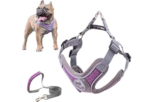 SKXEO Dog Harness Small Dog No Pull Dog Harness and Lead Set Adjustable Breathable Reflective Lightweight Pet Vest Harness Escape Proof Dog Harness Easy Control for Outdoor Walking Training