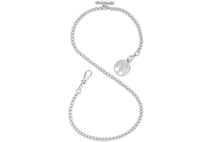 ManChDa Albert Chain Taschenuhr, T-Bar-Kette mit Kompass Anhänger, Curb Link Chain 2 Haken Antike Fob T-Bar für Herren