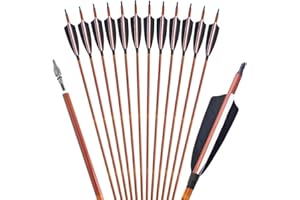 ZSHJGJR 12 Stück 32 Zoll Carbon Pfeile für Bogenschießen Naturfedern Langbogen oder Compoundbögen Carbonpfeile mit Austauschbare