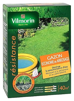 Vilmorin 4471253 Gazon Econome Arrosage Boîte de 1 kg