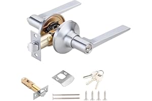 Qrity 1 Pezzi Serrature per Leva per Porta, Maniglie Porte Interne con Serratura e Chiave, Serratura D'ingresso di 60/70 mm, Argento