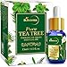 StBotanica Tea Tree Pure Aroma Essential Oil - 15ml RS.449.00