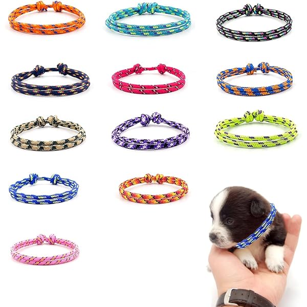 Collari Per Cuccioli 16 Pezzi - Regolabili, Morbidi, Con Tag Di Identificazione, Multicolore, Taglia S (12-20 Cm) - Foto 5