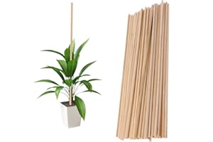 SUXGUMOE Plant Support Sticks, 50 Stück 40 cm Wiederverwendbare Bambuspflanzen Support Flower Stick Gartengeräte für Gartenstöcke (40CM)