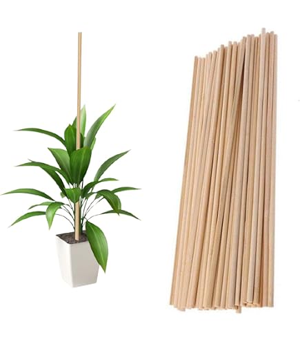 Verdemax 6684 Strau aus Bambus, 50 cm hoch, Naturfarben, 15 Stck :  Amazon.de: Garten