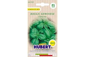 GRAINES HUBERT SEMENCES & ENGRAIS MAIROL Graines de Basilic Genovese Edwina BIO - 1 gramme