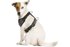 SlowTon Arnés para automóvil,(Sin cinturón de Seguridad) Arnés de Chaleco para Mascotas para Perros Seguridad en el Coche Cuello Ajustable y Correa para el Pecho (XXS, arnés de Perro (Gris 1))