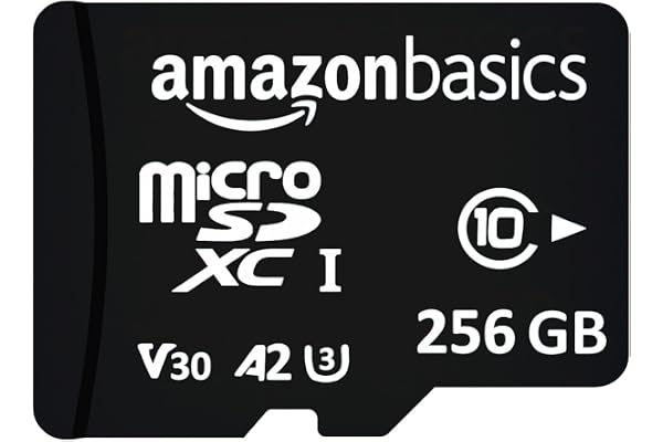 Amazon Basics 256 GB Micro SDXC Memory Card 180 MB/s Read Memory Card for 4K Video on Smartphones, Action Cams and Drones