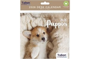 CARDS GALORE ONLINE 2026 Spiral Bound Wiro Flip Desk Top Pet Photo Calendar (Dog)