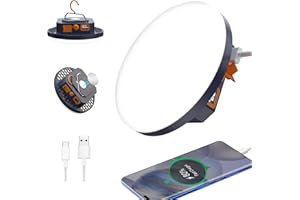 IODOO Lampada LED da Campeggio Ricaricabile USB 9900mAh Power Bank, 2000LM Lanterna da Campeggio Portatile IP65 Impermeabile, LED Luce Esterna per Tenda Campeggio, Escursionismo, Pesca, Emergenza