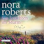 Ein Leuchten im Sturm