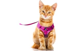 FEimaX Pettorina per Gatti, Imbracatura Gatto con Guinzaglio Set di Pettorina per Gattini Cuccioli Antifuga Regolabile Imbracature Morbida per Cani di Piccola Taglia (M, Rosa)