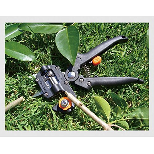 Veredelungsschere Gartenschere-AGPtek Professionelle Cutting Tool Astschere Rebschere Baumschere Blumenschere Holzschere hochbeanspruchbares Handwerkzeug für Ihre Gartenarbeit – Pfropfen Pruner mit 2 Ersatzmesser Pfropfen Band - 5