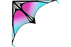 Flying Hoofer Grand cerf-volant de plage arc-en-ciel Delta pour enfants et adultes, extrêmement facile à voler pour garçons et filles, comprend une poignée de 91,4 m.