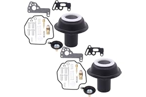 ApplianPar Carburetor Rebuild Kit for Yamaha Virago 535 1987-2000