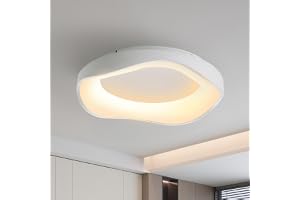 meibeileil Nowoczesna ściemniana minimalistyczna lampa sufitowa LED, 52 cm, 3000K-6500K, oprawy oświetleniowe sufitowe, ochrona oczu do salonu, sypialni, kuchni, przedpokoju