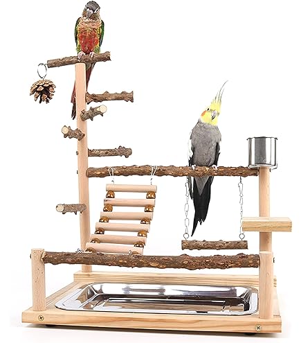 Cockatiel Playground Borangs Wooden Bird Playstand - Parrot Play Gym With Feeder Cups - Natural Eucalyptus Perch For Parakeets Conures Cockatiels Bird Perch With Feeder Cups