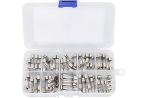 NAAPESI 100Pcs 10 Values Schnellschlag Glassicherungen Sortiment Set 5x20mm Sicherung 250V Sicherungen 0,2 A, 0,5 A, 1 A, 2 A, 3 A, 5 A, 6 A, 8 A, 10 A, 15 A Verpackung in einer Kunststoffbox