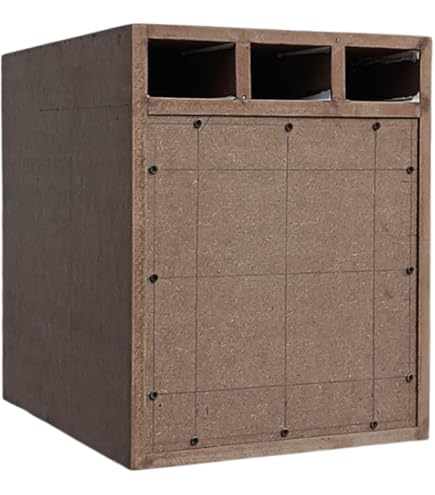Focal-Bomba BP20 : Amazon.in: Electronics