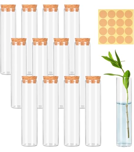 20PCS Tubes à Essai Plastique 25x150mm Avec Bouchon Bois Et Étiquette Kraft - Dancepandas