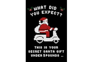 Secret Santa Gift Under 5 Pounds: Sudoku Puzzle Book, A Humorous Present for Women, Men, and Colleagues