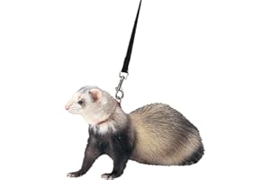 MARSHALL PET PRODUCTS Marshall Ferret Harness and Lead, Black