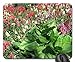 Produktbild snapdragons Flowers on a Picnic Day at The Park 07 Mouse Pad,Flowers Non-Slip Mouse Pad Office Competitive Mouse Pad 18X22cm