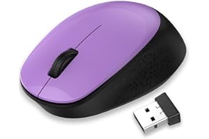 LeadsaiL Mouse senza fili, mouse wireless 2.4G silenzioso con ricevitore USB, monitoraggio ottico 1600 DPI, mouse a 3 tasti, per mancini e destrorsi, compatibile con PC, Mac, laptop, Windows - viola