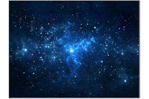 CAFOPGRILL Affiche Aquarium Fond Toile de Fond PVC Adh¨¦SIF ¨¦Toile Poussi¨¨re Ciel ¨¦Toil¨¦ D¨¦cor Papier Coller Autocollants(91 * 41cm)