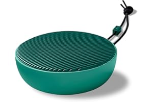 Vifa City Głośnik Bluetooth, przenośny głośnik Bluetooth, bezprzewodowy głośnik Bluetooth 5.0 do komputera i telefonu, super przenośny głośnik Bluetooth do podróży, imprezy - Sage Green