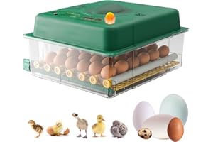 heninhill Brutautomat Vollautomatisch 36 Eier Inkubator, Brutmaschine Vollautomatisch mit Eierwenden Temperaturregelung Schierlampe, Brutkasten für Hühner Enten Wachtel