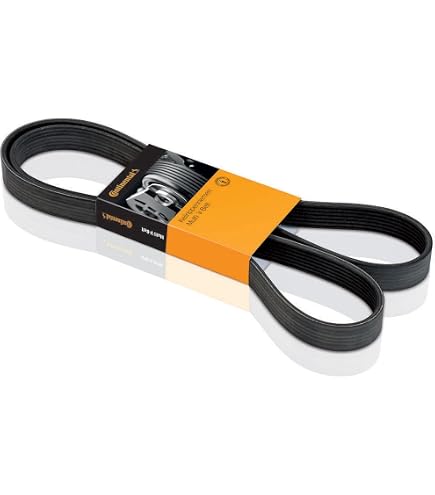 VKM 32048 SKF Galoppino guidacinghia, cinghia Poly-V con materiale di fissaggio VKM 32048 ❱❱❱ prezzo e esperienza