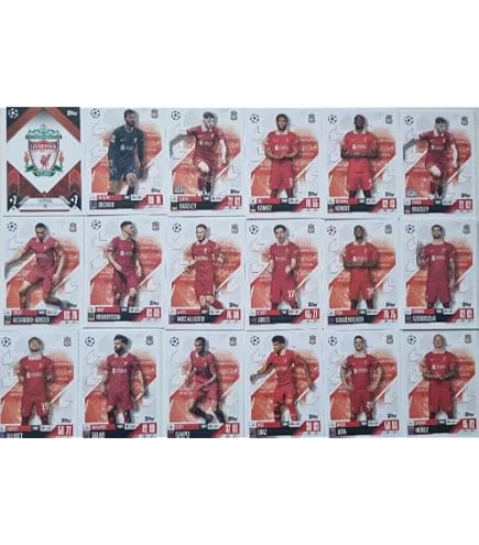 Cartes Panini Premier League Plus 2024/2025 - Équipe De Tottenham (18 Cartes Base) - À Collectionner