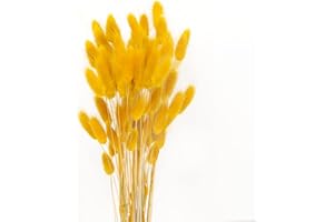 JKDHJK 50 Tallos Pampas Flores Secas Naturales Super Fluffy para Decoración de Hogar, Boda y Manualidades (Mostaza Amarilla)