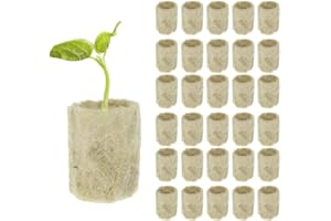 AVCXEC 100PCS Steinwolle Würfel, Anzuchtmatte Steinwolle Anzucht Rund, Anzuchtwürfel Hydroponic Sämling, Steinwollmatte Grow Anzucht Anzuchtmatte, Steinwolle für Stecklinge Klonen Pflanzenvermehrung