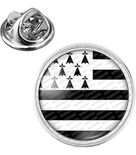 Pin's Drapeau Région De France - Bourgogne - En Acier