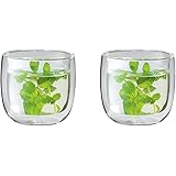 ZWILLING 39500-077-0 tea glass Transparent 2 pc(s) 240 ml