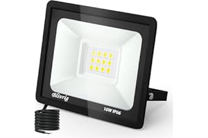 TOOBETTP Proiettore LED 10W,Faretto LED da Esterno 1000LM Faro led da Esterno 6500K Bianco Freddo Faretti LED Impermeabile IP66 Faretto LED da Esterno,per Giardino Cortile Garage Pareti